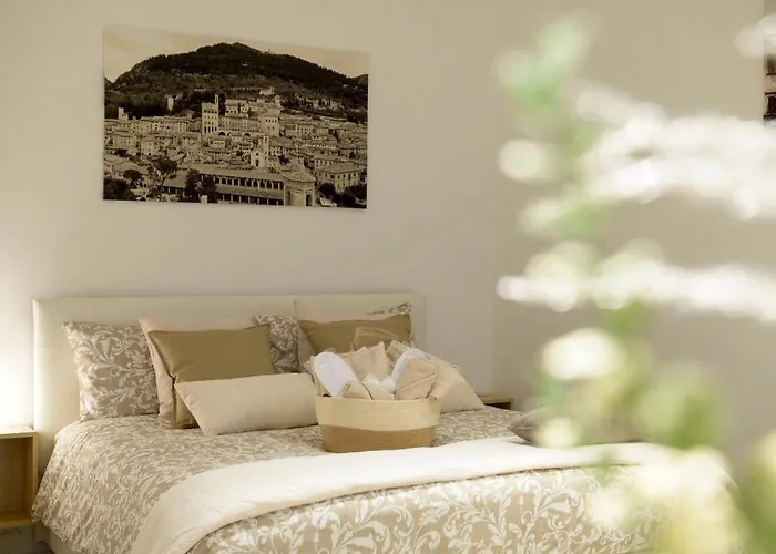 Casa Falcucci